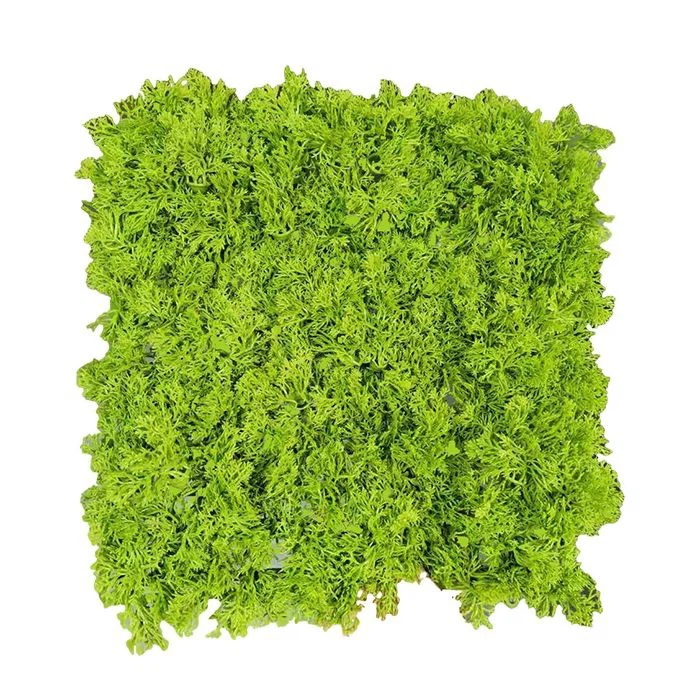 Artificial moss mat for wall arrangement