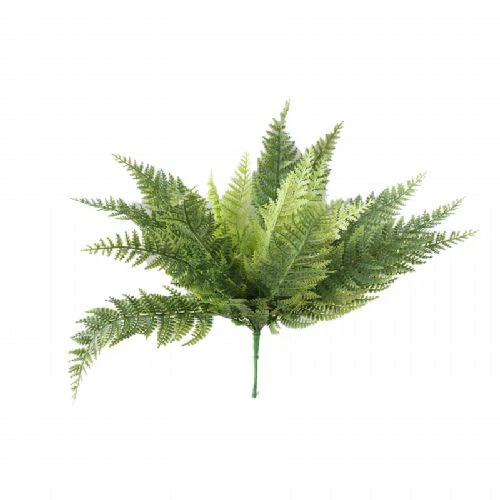 UV proof fern bush UV proof fern bush