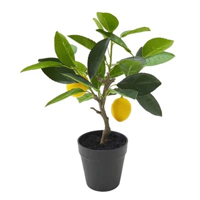 Hand som känner latexfrukter