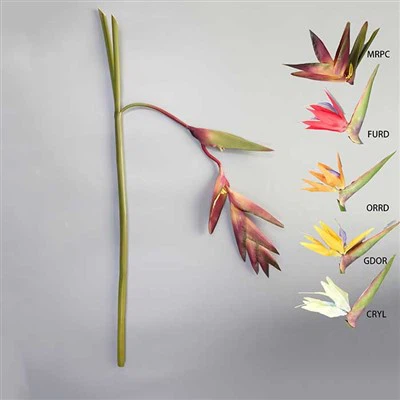 Naturlig touch tropisk blomma