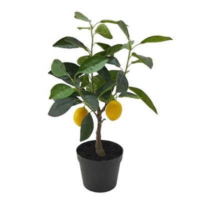 Konstgjorda frukter som ser riktigt ut